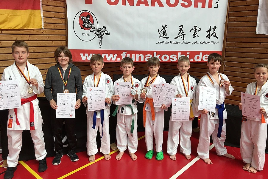 karate schweinfurt funakoshi cup 2017