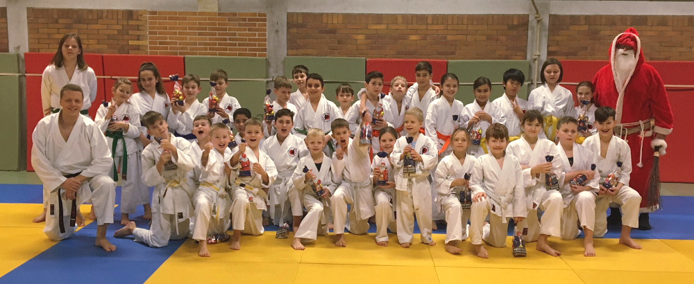 karate kinder schweinfurt turngemeinde 2017 nikolaus