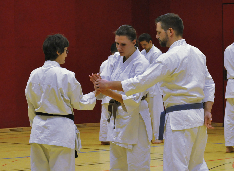 tg schweinfurt karate schleyer übungsleiter 2018