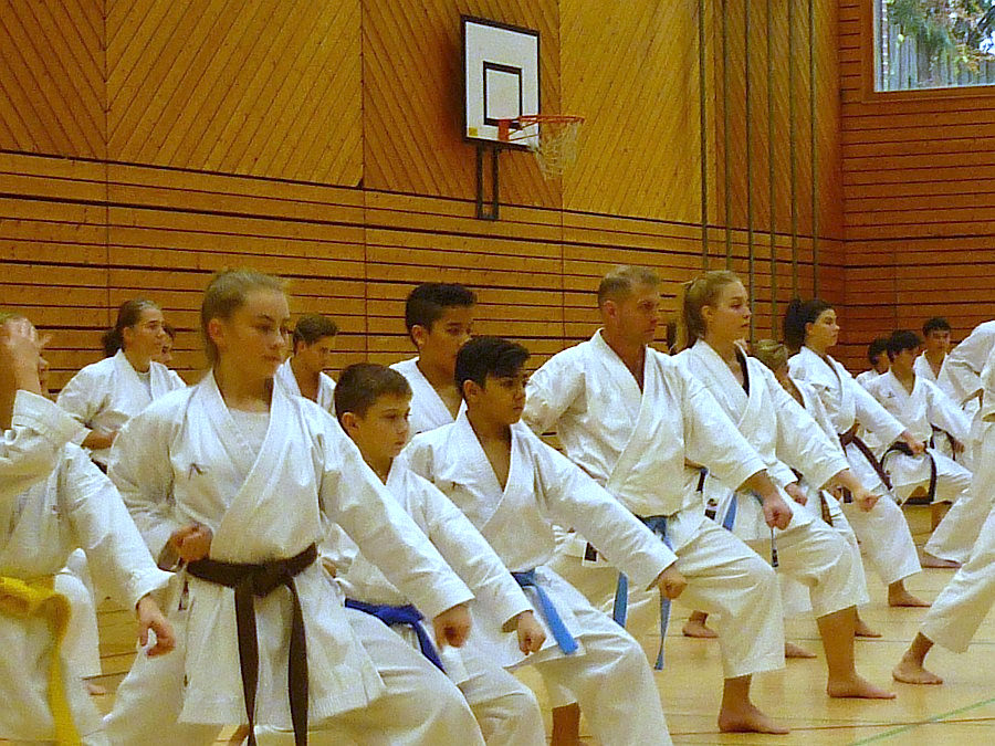 unterfranken karate tag 2018 klein072