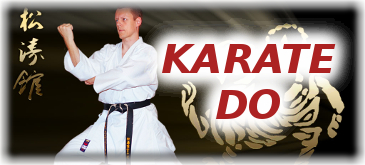 button tg schweinfurt karate do
