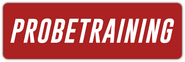 karate probetraining